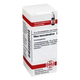 Abbildung: DHU Rhus toxicodendron C 6 Globuli Globuli, 10 g PZN 03631681