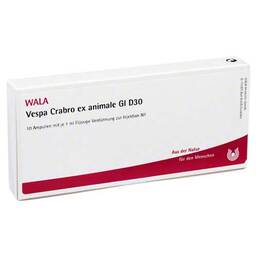 Abbildung: Vespa Crabro ex animale GL D 30 Ampullen 10X1 ml, Ampullen PZN 03794992