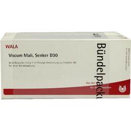 Abbildung: Viscum Mali Senker D 30 Ampullen 50X1 ml, Ampullen PZN 03795684
