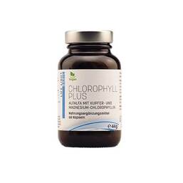 Abbildung: Chlorophyll plus Kapseln 60 St, Kapseln PZN 03823788