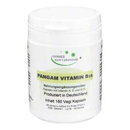Abbildung: Pangam Vitamin B15 Vegi Kaps 180 St, Kapseln PZN 03868561