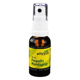 Abbildung: Propolis Mundspray Spray, 20 ml PZN 03933838
