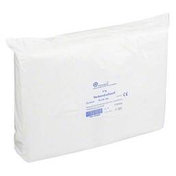 Abbildung: Verbandzellstoff hochgebleic 1000 g, Beutel PZN 04045809