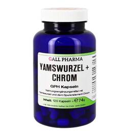 Abbildung: Yamswurzel + Chrom GPH Kapseln Kapseln, 120 St PZN 04131704