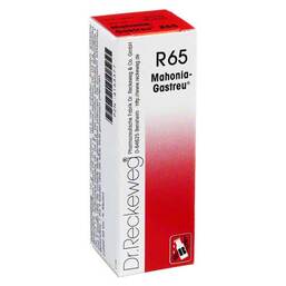 Abbildung: Mahonia Gastreu R 65 Tropfen zum Einnehmen Mischung, 22 ml PZN 04163377