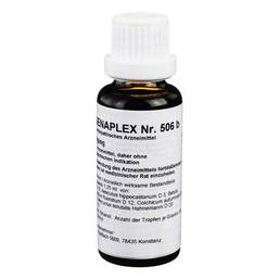 Abbildung: Regenaplex Nr.506 b Tropfen 30 ml, Tropfen zum Einnehmen PZN 04178462
