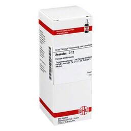 Abbildung: Aesculus D 12 Dilution Dilution, 50 ml PZN 04201675