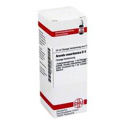  PZN 04205839 Dilution, 20 ml