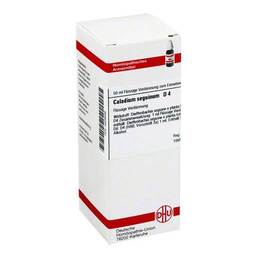 Abbildung: Caladium seguinum D 4 Dilution Dilution, 50 ml PZN 04209599