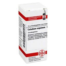 Abbildung: DHU Caladium seguinum D 4 Globuli Globuli, 10 g PZN 04209642