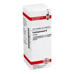 Abbildung: DHU Cardiospermum Urtinktur Dilution, 20 ml PZN 04210504