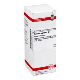 Abbildung: DHU Dolichos pruriens D 4 Dilution Dilution, 50 ml PZN 04215298