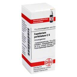 Abbildung: Eupatorium perfoliatum C 6 G Globuli, 10 g PZN 04216748