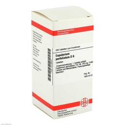 Abbildung: Eupatorium perfoliatum D 6 Tabletten Tabletten, 200 St PZN 04216820