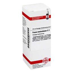 Abbildung: DHU Fucus vesiculosus C 2 Dilution Dilution, 20 ml PZN 04217877