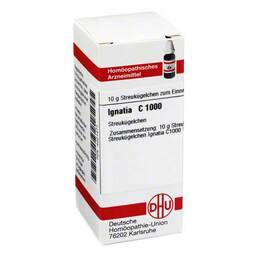  PZN 04221471 Globuli, 10 g