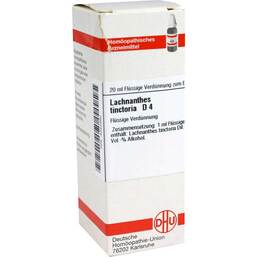 Abbildung: Lachnanthes tinctoria D 4 Dilution Dilution, 20 ml PZN 04223990