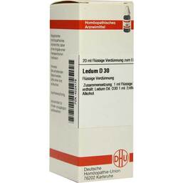 Abbildung: Ledum D 30 Dilution Dilution, 20 ml PZN 04224179