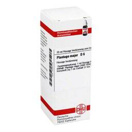 Abbildung: DHU Plantago Major D 6 Dilution Dilution, 20 ml PZN 04232173