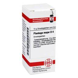 Abbildung: DHU Plantago Major D 4 Globuli Globuli, 10 g PZN 04232210