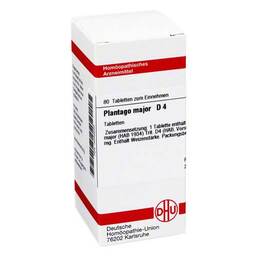 Abbildung: Plantago Major D 4 Tabletten Tabletten, 80 St PZN 04232256