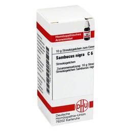  PZN 04235473 Globuli, 10 g