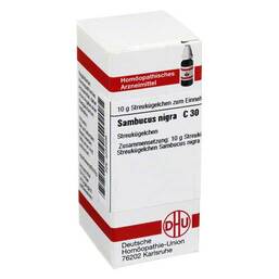  PZN 04235496 Globuli, 10 g