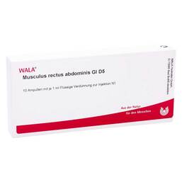 Abbildung: Musculus rectus abdominis GL D5 Ampullen 10X1 ml, Ampullen PZN 04620509