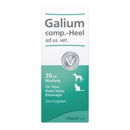 Abbildung: Galium comp.-Heel Tropfen für Hunde / Katzen / Kleinnag. Tropfen, 30 ml PZN 04658050