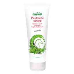 Abbildung: Pferdesalbe kühlend Salbe, 100 ml PZN 04709149