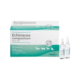 Abbildung: Echinacea Compositum Ampullen vet. (für Tiere) 50 St, Ampullen PZN 04749485