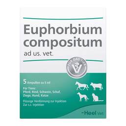 Abbildung: Euphorbium Compositum Ampullen vet. (für Tiere) 5X5 ml, Ampullen PZN 04826961