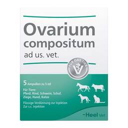 Abbildung: Ovarium Compositum Ampullen vet. (für Tiere) 5X5 ml, Ampullen PZN 04826984