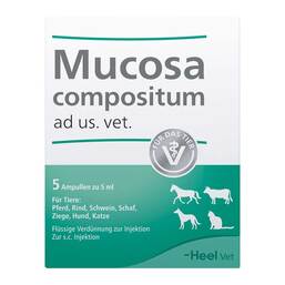 Abbildung: Mucosa Compositum Ampullen vet. (für Tiere) Ampullen, 5X5 ml PZN 04871335