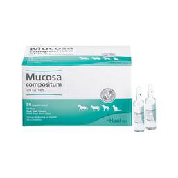 Abbildung: Mucosa Compositum Ampullen vet. (für Tiere) 50X5 ml, Ampullen PZN 04871341