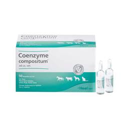 Abbildung: Coenzyme compositum® ad us. vet. Ampullen 50X5 ml, Ampullen PZN 04871364