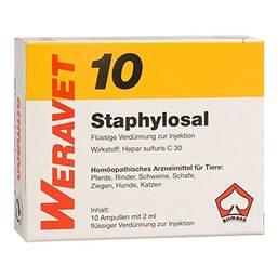 Abbildung: Staphylosal 10 vet. Ampullen 10X2 ml, Ampullen PZN 04902461