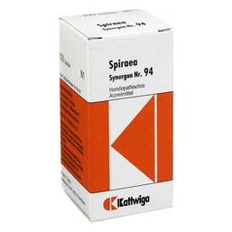 Abbildung: Synergon 94 Spiraea Tabletten Tabletten, 100 St PZN 04905956