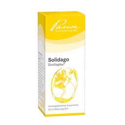 Abbildung: Solidago Similiaplex Tropfen Tropfen, 50 ml PZN 05463785