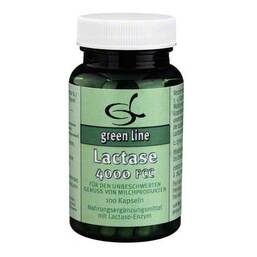 Abbildung: Lactase 4000 FCC Kapseln Kapseln, 100 St PZN 05749582