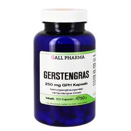 Abbildung: Gerstengras 250 mg GPH Kapseln Kapseln, 120 St PZN 06106538