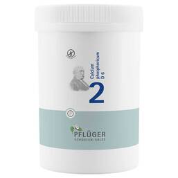 Abbildung: Biochemie Pflüger 2 Calcium phosphoricum D 6 Tabletten Tabletten, 4000 St PZN 06318803