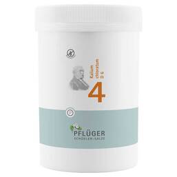 Abbildung: Biochemie Pflüger 4 Kalium chloratum D 6 Tabletten Tabletten, 4000 St PZN 06318938