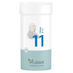 Abbildung: Biochemie Pflüger 11 Silicea D 12 Pulver Pulver, 100 g PZN 06323454