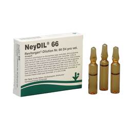 Abbildung: NeyDIL® Nr. 66 Revitorgan® D4 pro vet. Ampullen Ampullen, 5X2 ml PZN 06488014