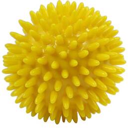 Abbildung: Igelball klein 1 St PZN 07151328