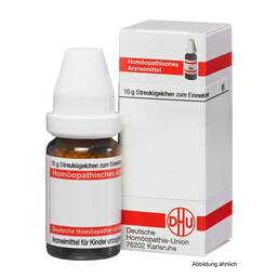 Abbildung: Abies canadensis D 4 Dilution Dilution, 20 ml PZN 07156521