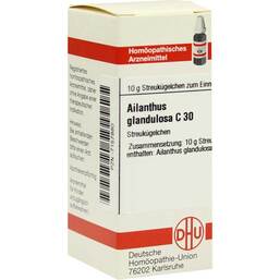 Abbildung: DHU Ailanthus gland. C 30 Globuli Globuli, 10 g PZN 07157880