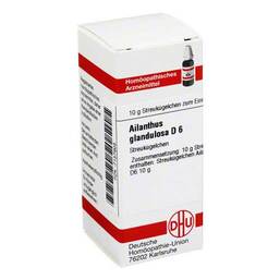 Abbildung: DHU Ailanthus gland. D 6 Globuli 10 g, Globuli PZN 07157905