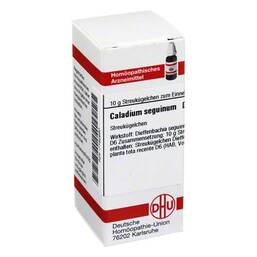 Abbildung: DHU Caladium seguinum D 6 Globuli Globuli, 10 g PZN 07162680